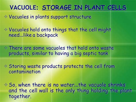 vacuoles are similar to things in houses